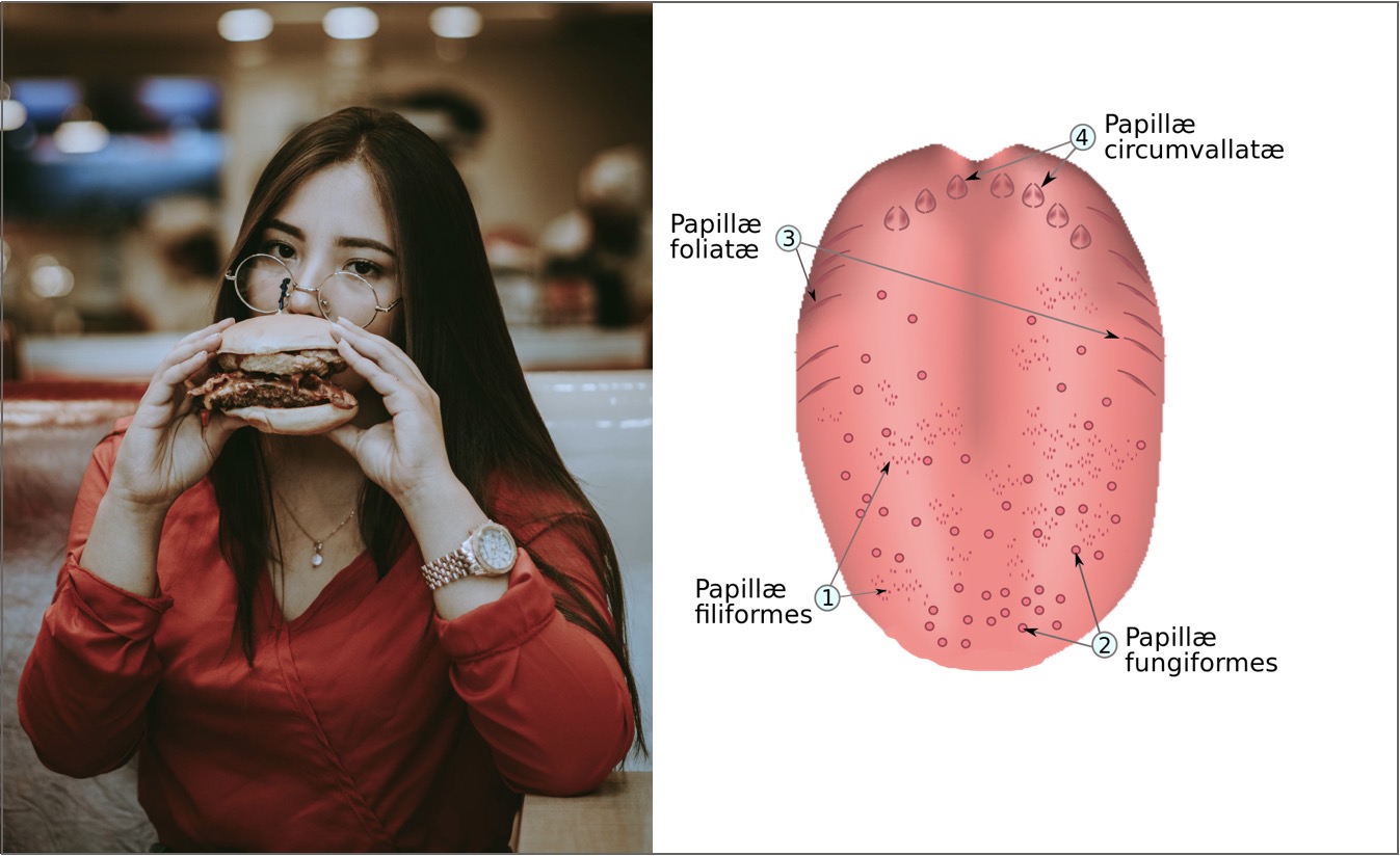 why-some-foods-taste-bad-to-some-people-good-to-others-things-you