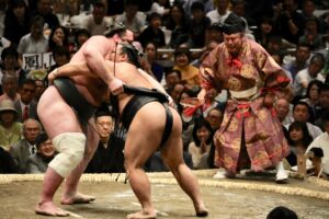 Why sumo wrestlers don’t suffer from obesity-related health problems?