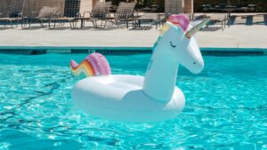 What exactly is a unicorn and how it got popular?