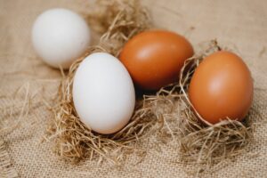 Why are some eggs white and others brown?